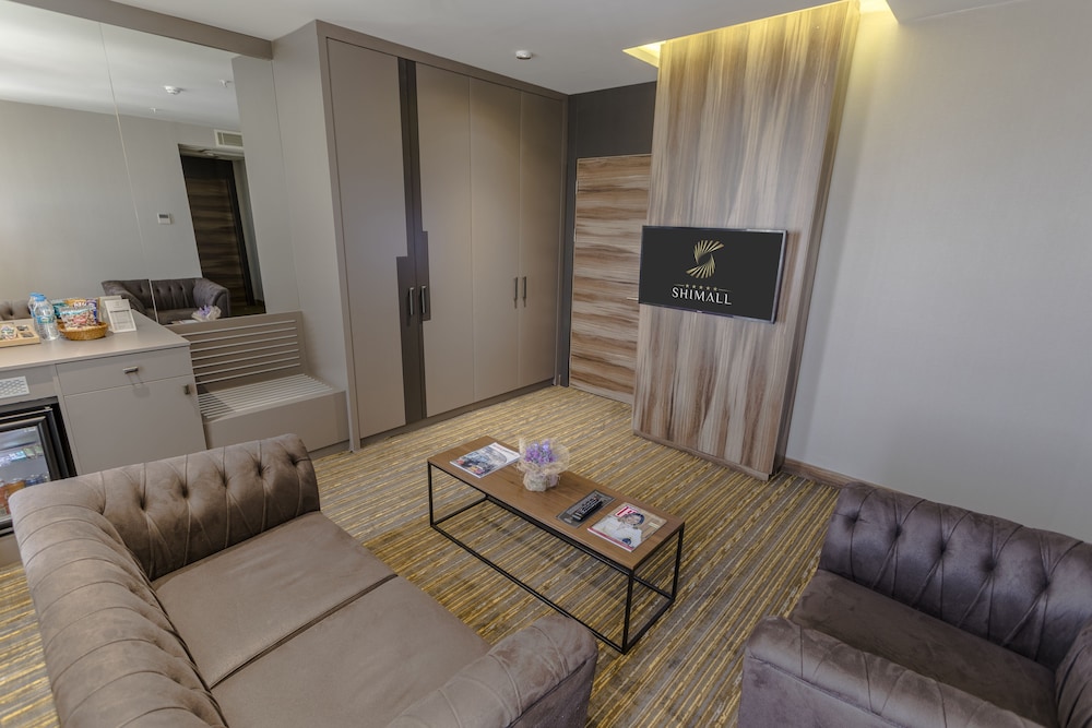 Junior Suite, 1 King Bed, City View - Photo 3