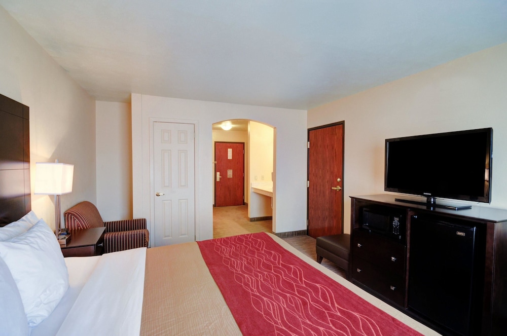 Suite, 1 King Bed, Non Smoking, Jetted Tub - Photo 6