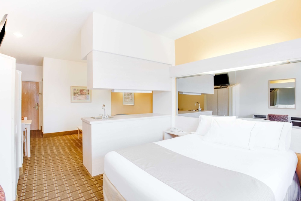 Standard Room, 1 Queen Bed, Accessible, Refrigerator & Microwave (Walk-in Shower;with Sofabed) - Photo 2