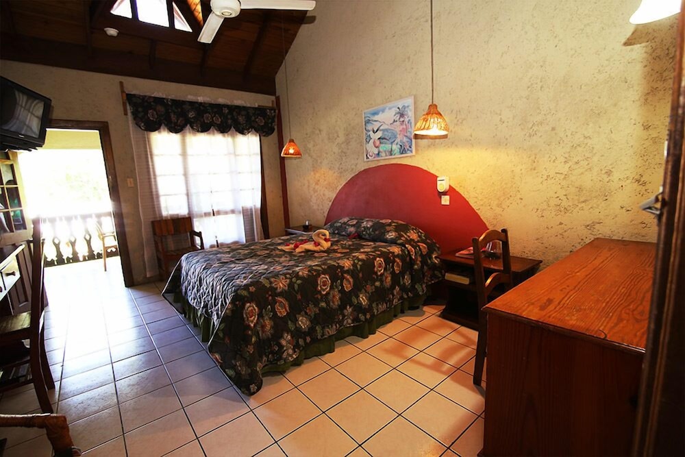 Superior Room, 1 Queen Bed photo 2