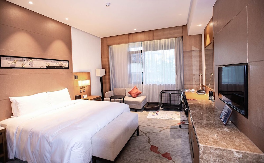 Room, 1 King Bed (Pet-Friendly)