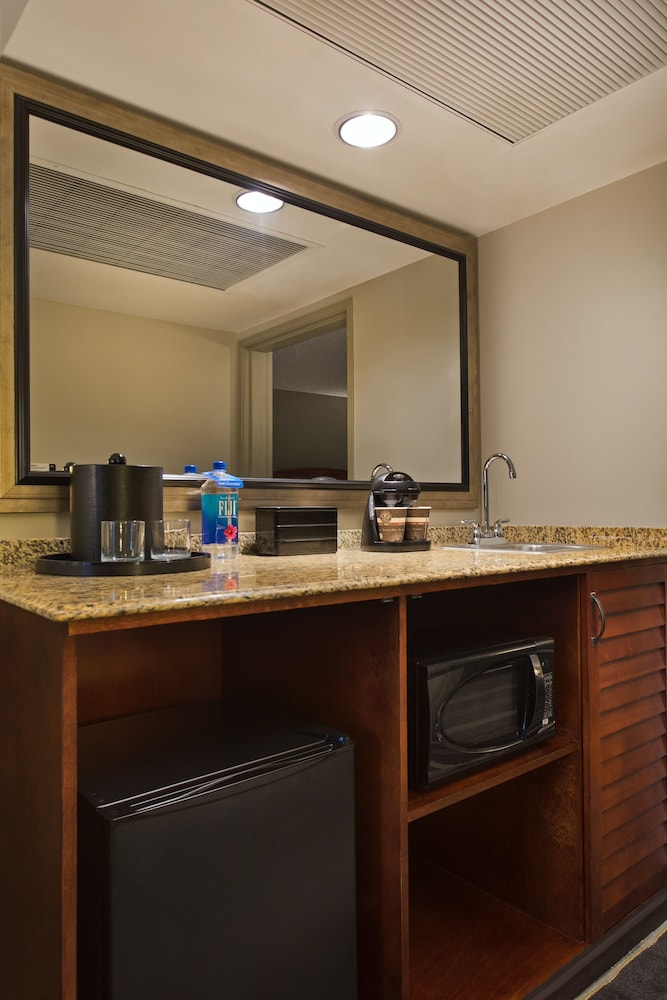 Suite, 1 Queen Bed - Photo 4