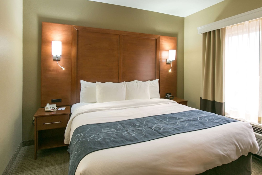 Suite, 1 King Bed, Non Smoking - Photo 6