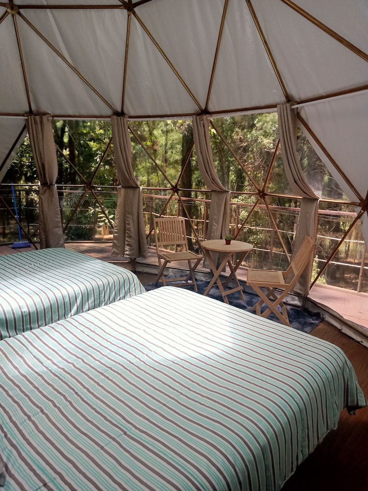 Family Tent