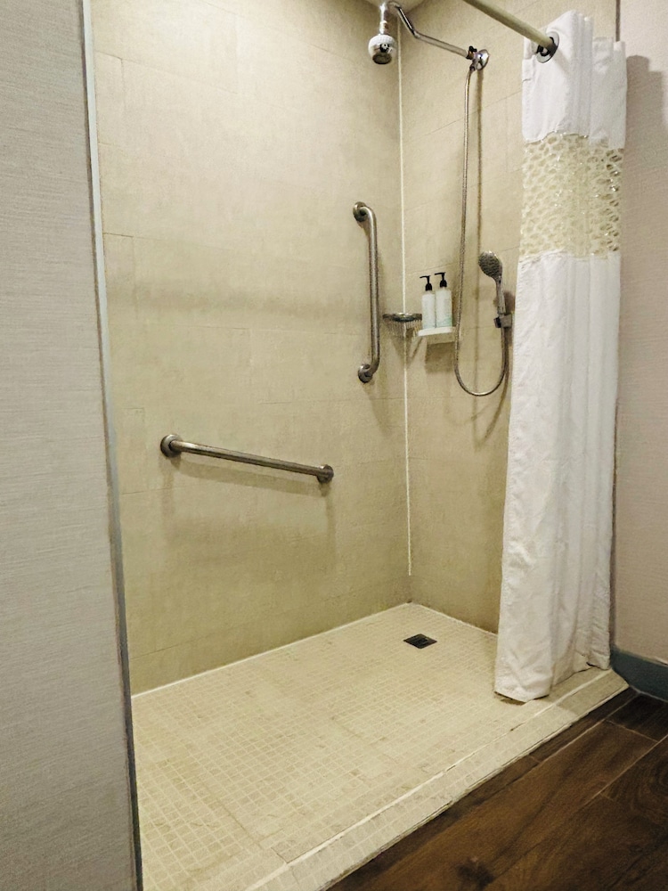 Room, 1 King Bed, Accessible, Non Smoking (Roll-In Shower) - Photo 4
