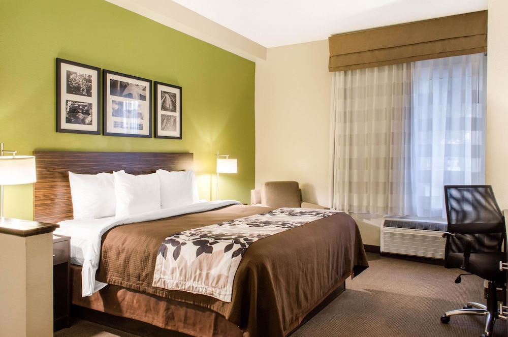 Suite, 1 King Bed with Sofa bed, Non Smoking photo 3