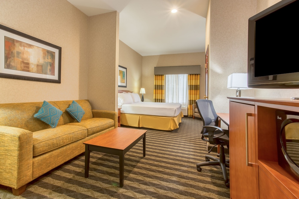 Suite, 1 King Bed with Sofa bed, Accessible (Accessible Tub)