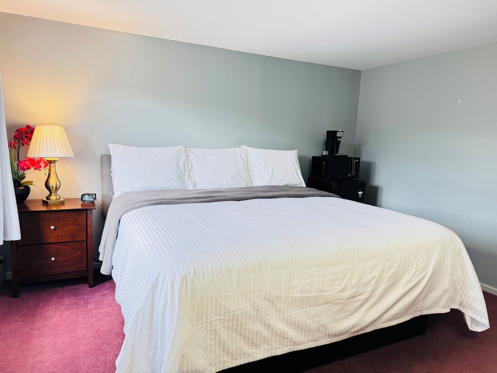 Room, 1 King Bed photo 3
