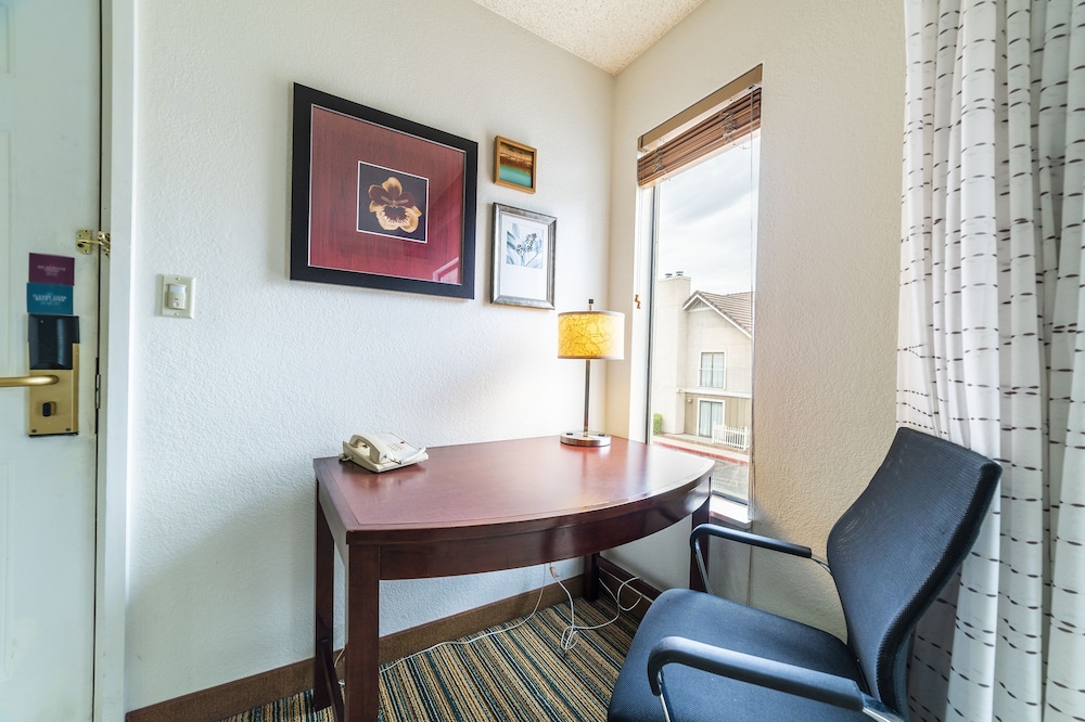Comfort Studio Suite photo 3