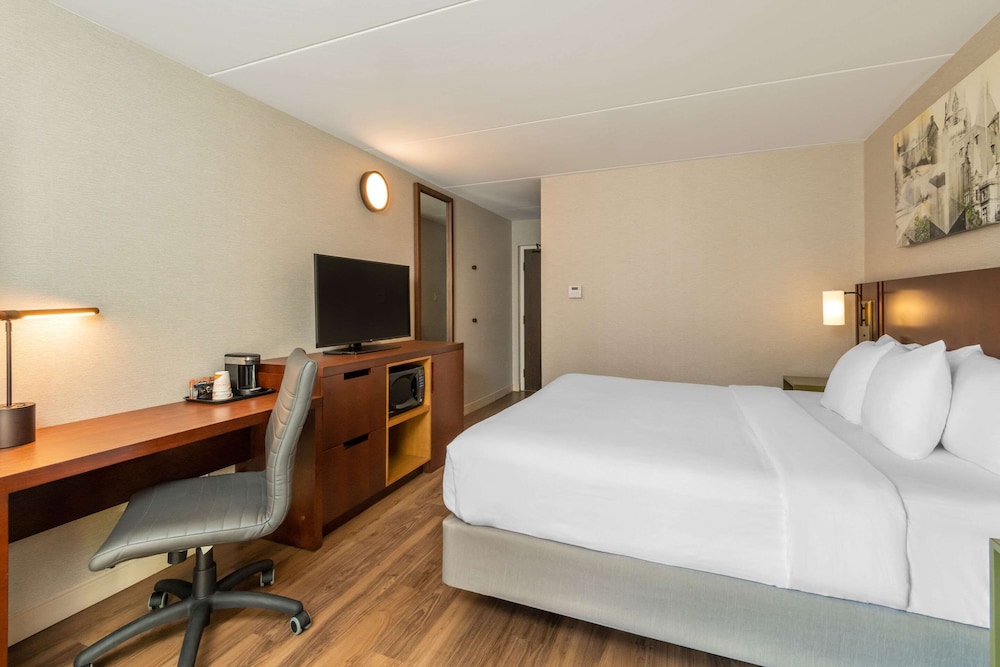 Room, 1 King Bed with Sofa bed, Non Smoking (Upgrade, Pet Friendly) photo 1
