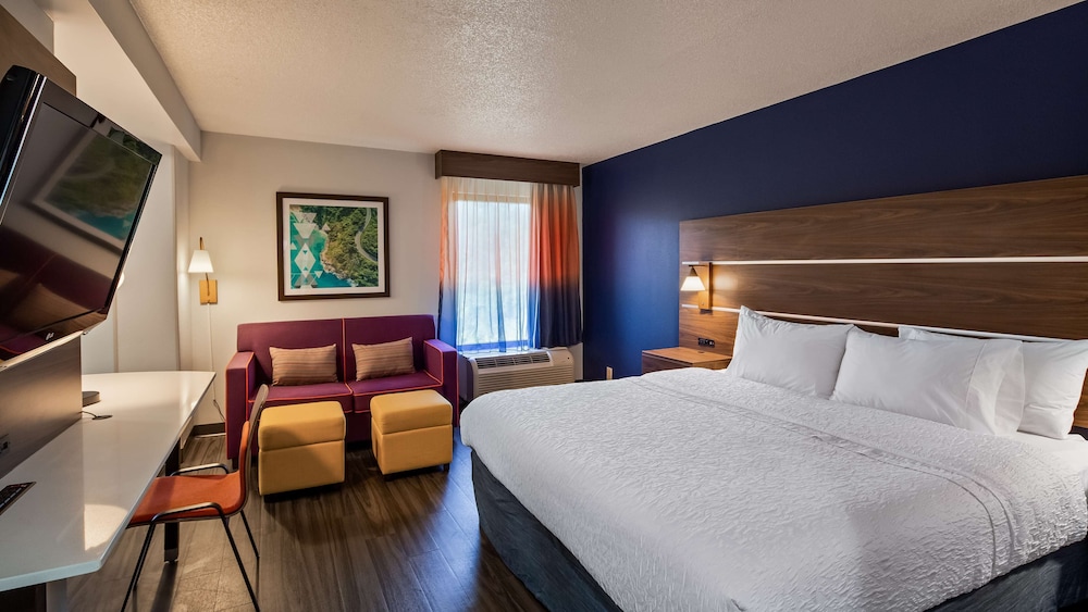 Standard Room, 1 King Bed with Sofa bed, Non Smoking, Refrigerator & Microwave (with Sofabed) photo 3