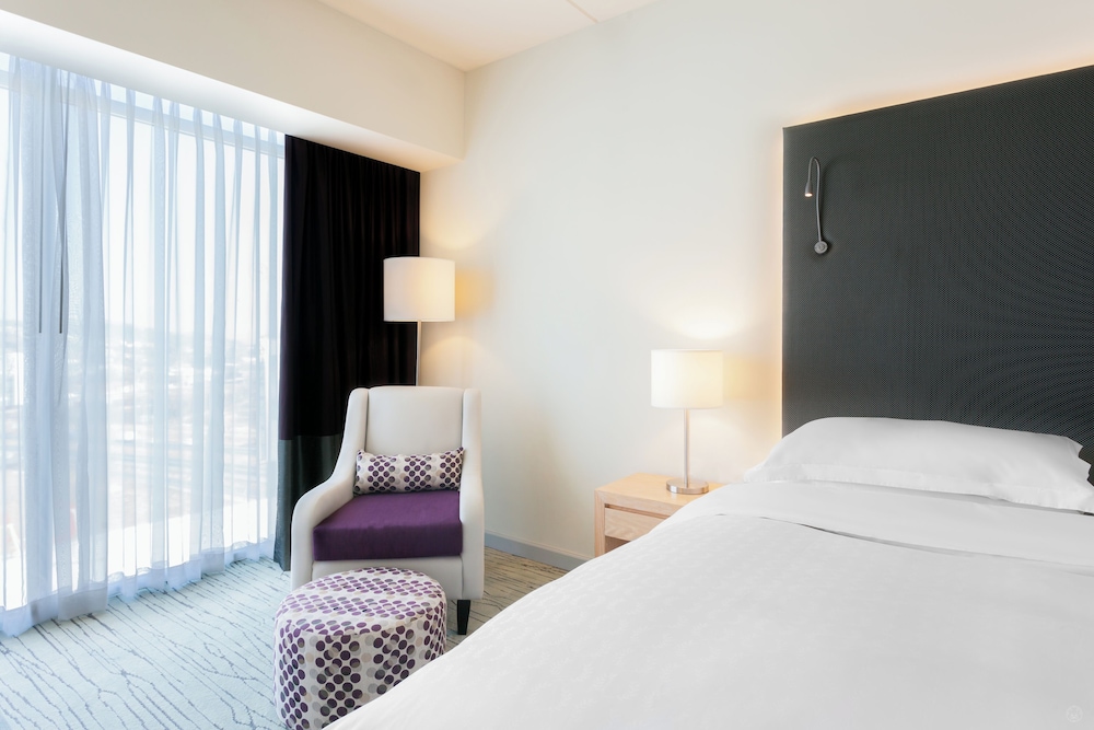 Room, 1 King Bed, Mountain View photo 3