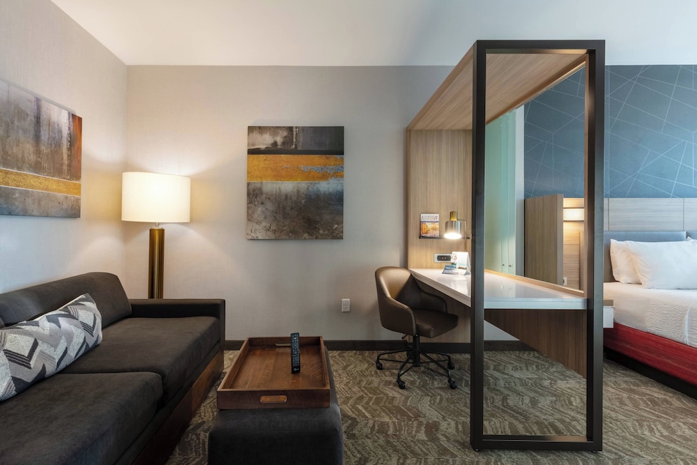 Suite, 1 King Bed (Mobility/Hearing Access, Roll-In Shwr) photo 1