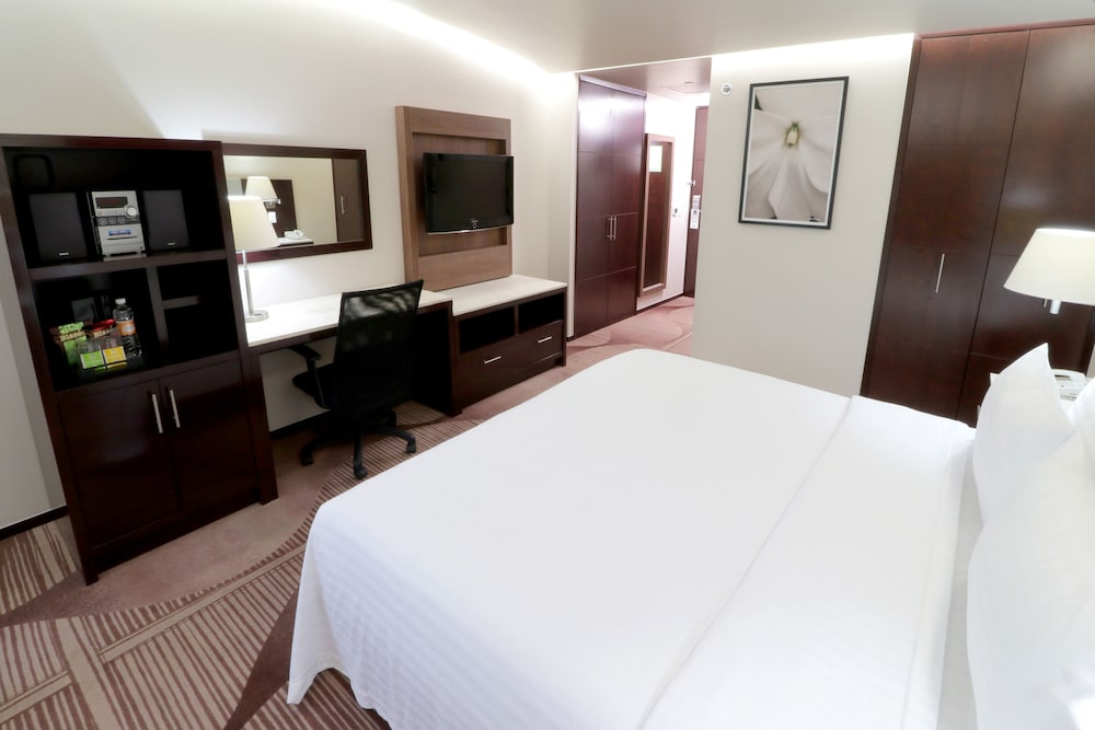 Standard Room, 1 King Bed, Accessible photo 3