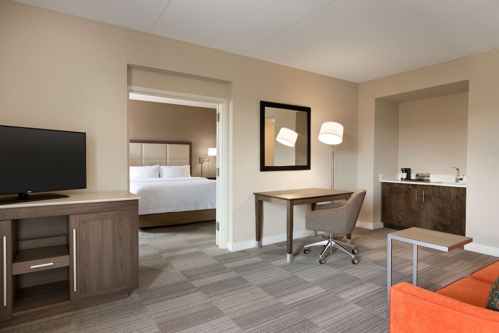 Suite, 1 King Bed, Refrigerator & Microwave (Wet bar) photo 3