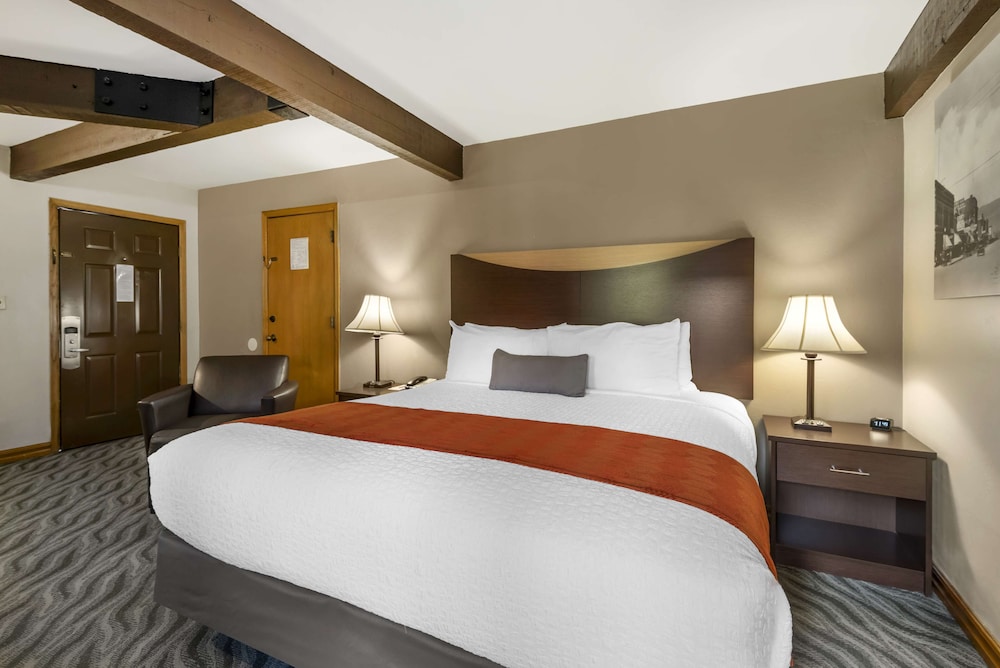 Standard Room, 1 King Bed, Non Smoking, Refrigerator & Microwave - Photo 3