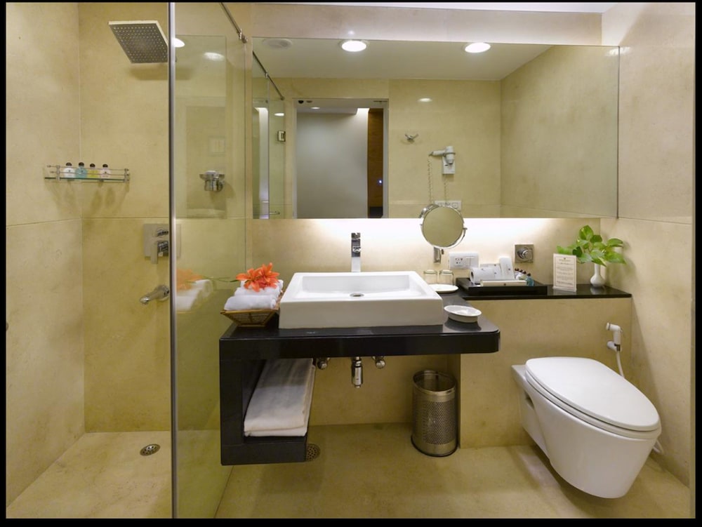 Luxury Suite - Photo 6