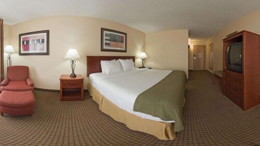 Standard Room, 1 King Bed, Accessible (Communications, Roll-In Shower) - Photo 3