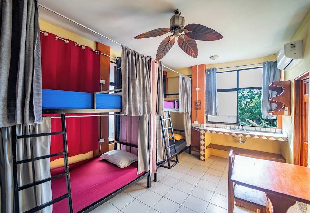Comfort Shared Dormitory photo 1
