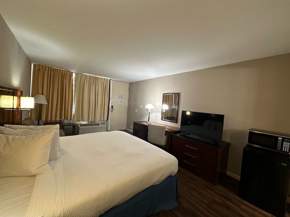 Basic Single Room photo 2