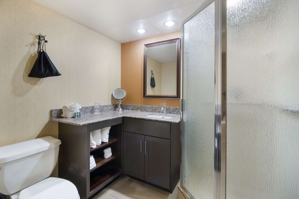 Suite, 1 King Bed, Non Smoking, Hot Tub - Photo 5