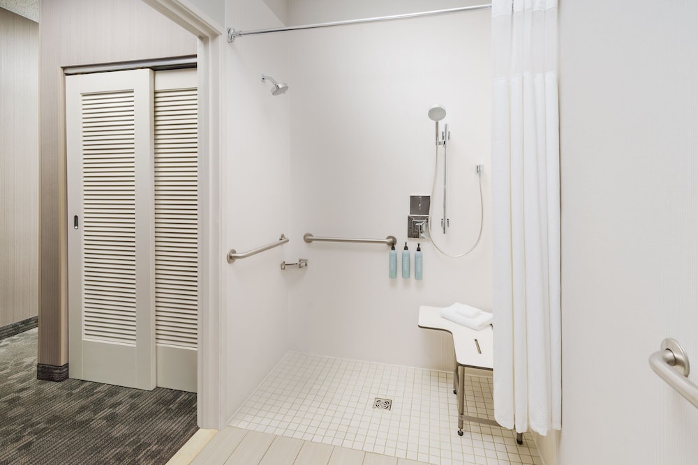 Room, 1 King Bed with Sofa bed (Mobility Accessible, Roll-In Shower) - Photo 8