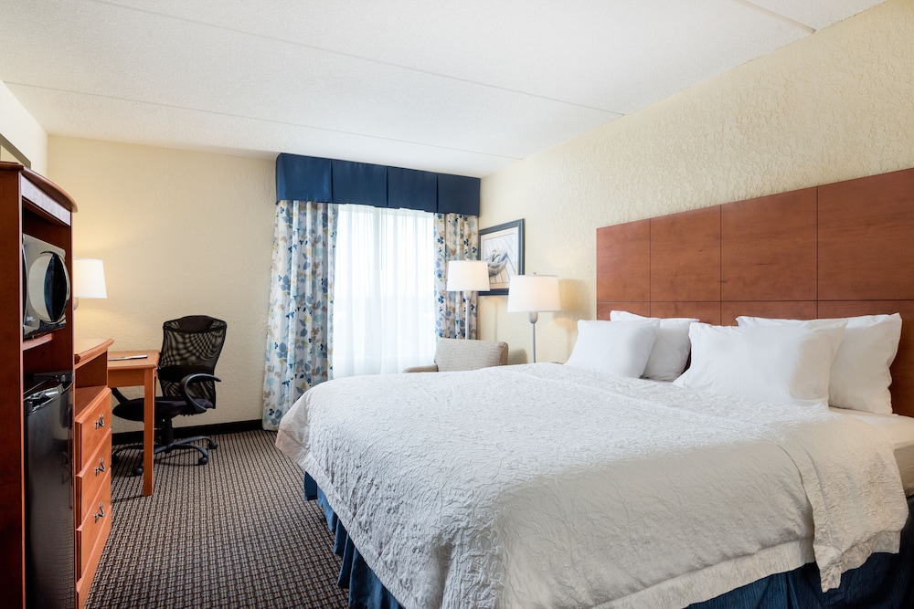 Suite, 1 King Bed, Accessible, Non Smoking - Photo 2