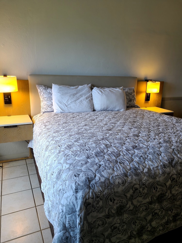Comfort Studio Suite, 1 King Bed photo 2