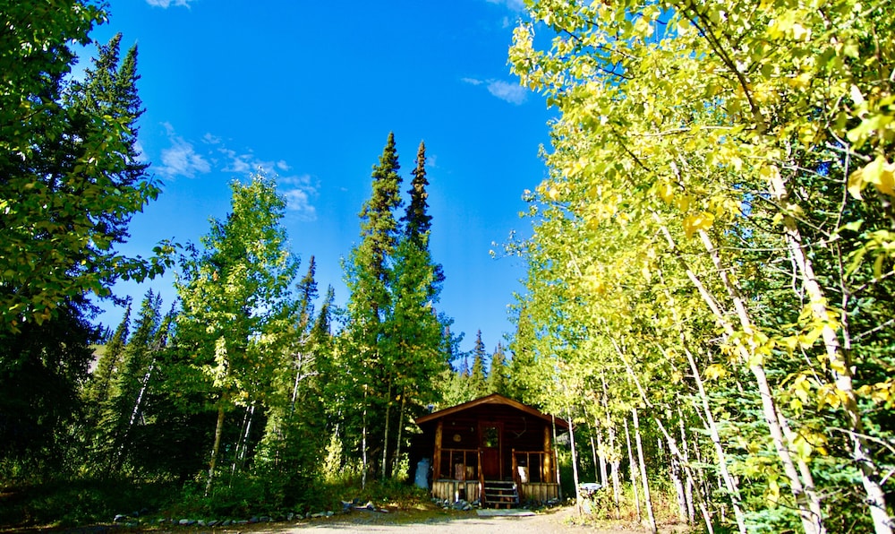 Classic Cabin