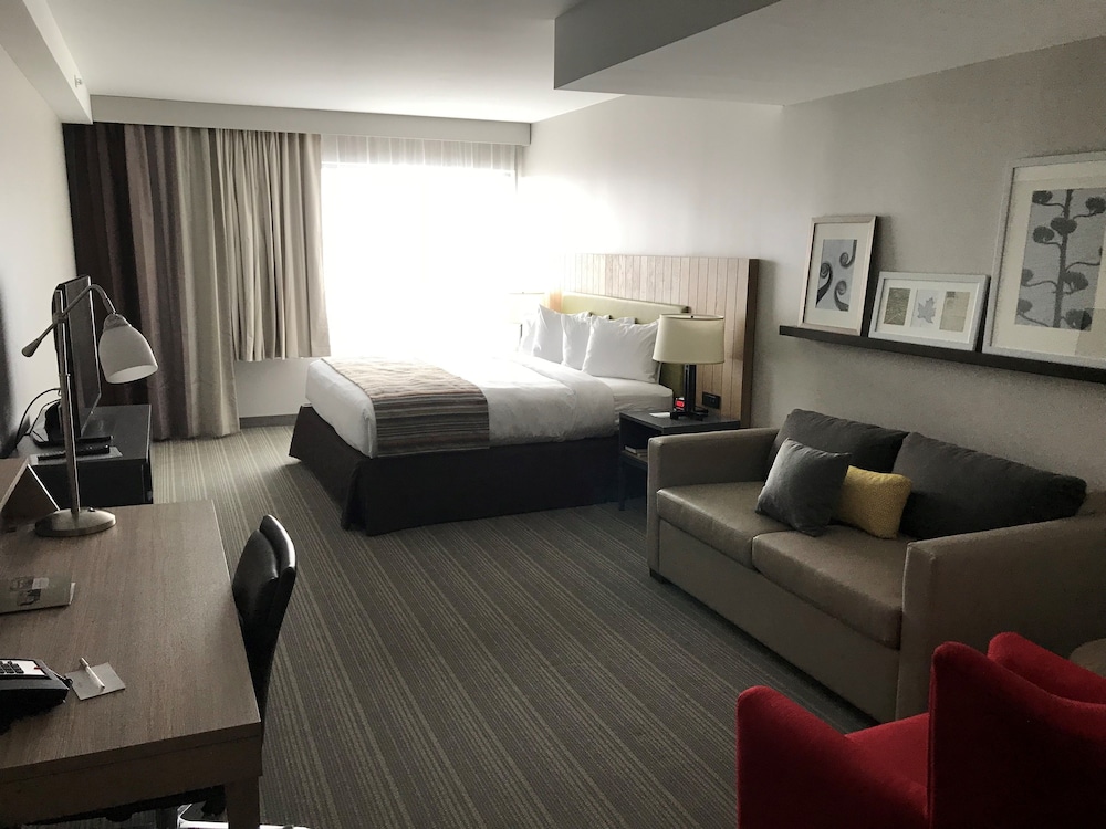 Studio Suite, 1 King Bed with Sofa bed, Non Smoking photo 2