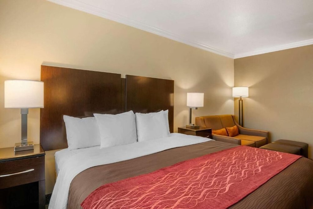 Suite, 1 King Bed with Sofa bed, Non Smoking photo 1