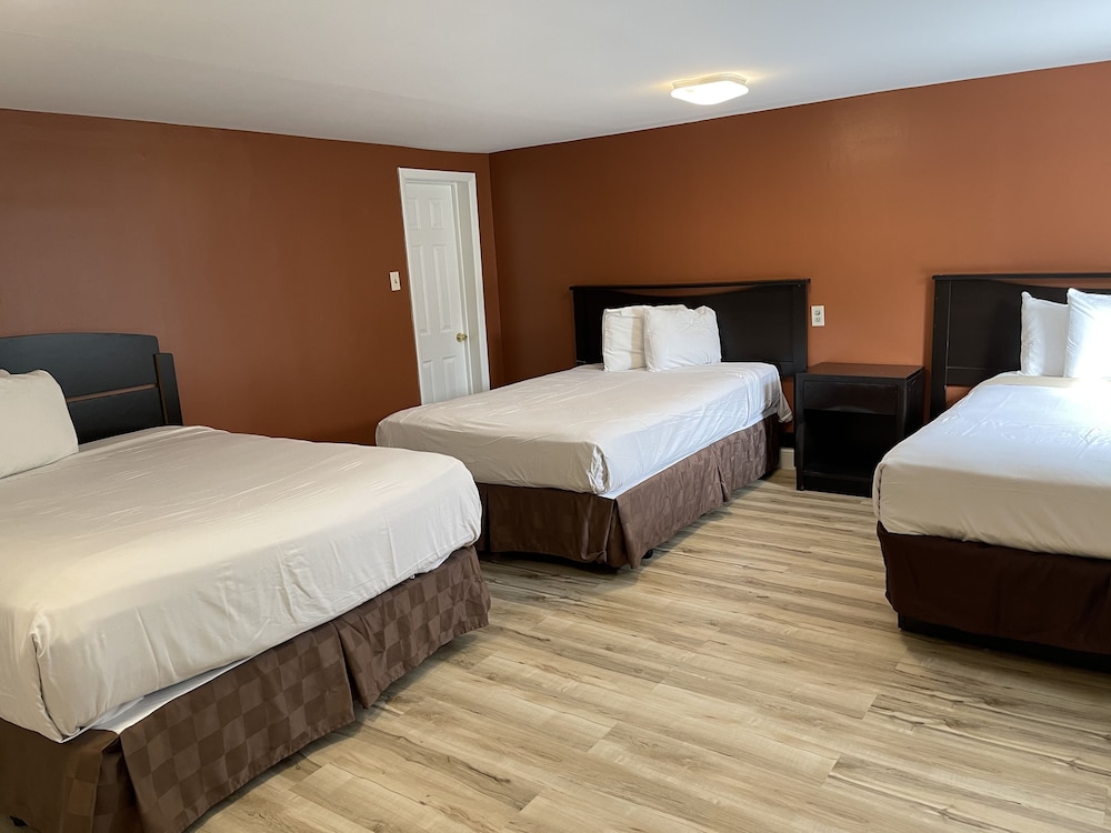Room, Multiple Beds, Non Smoking photo 3