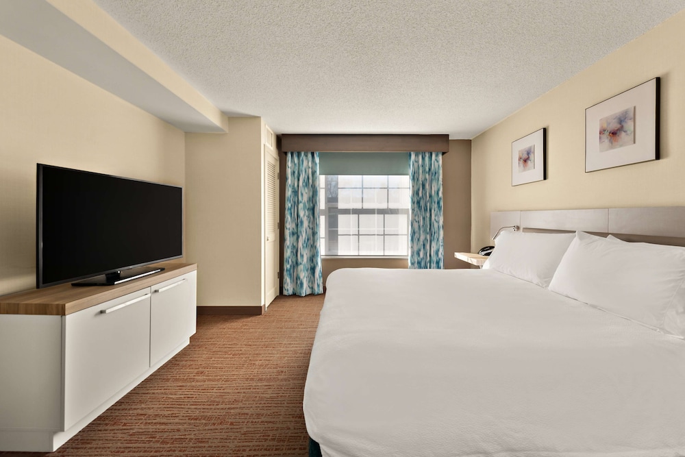 Suite, 1 King Bed, Accessible (Hearing, Shower) - Photo 1
