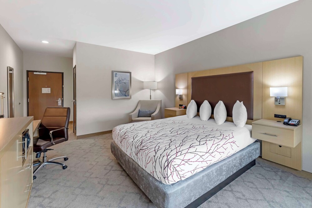 Standard Room, 1 King Bed, Non Smoking, Refrigerator & Microwave photo 2