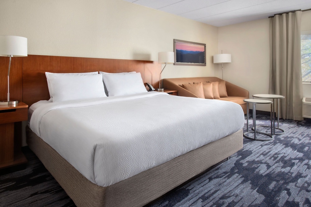 Room, 1 King Bed with Sofa bed