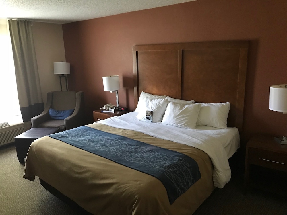 Standard Room, 1 King Bed, Non Smoking photo 2