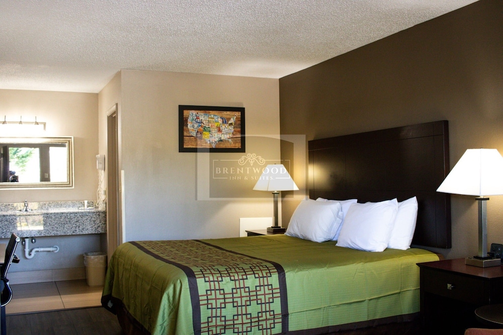 Single Room, 1 King Bed photo 3