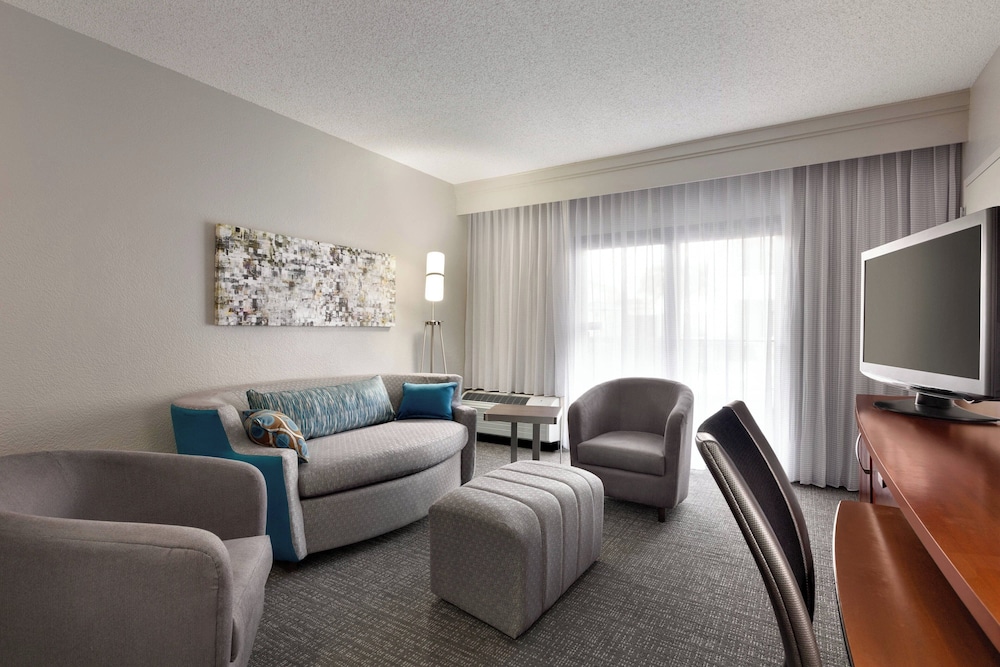Suite, 1 King Bed with Sofa bed (Hearing Accessible)