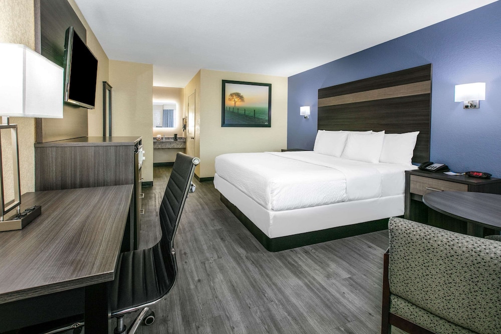 Room, 1 King Bed, Accessible, Non Smoking (Mobility, Roll-In-Shower) - Photo 1