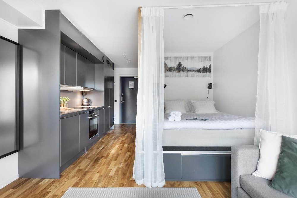 Superior Apartment, 1 King Bed with Sofa bed, Garden View photo 3