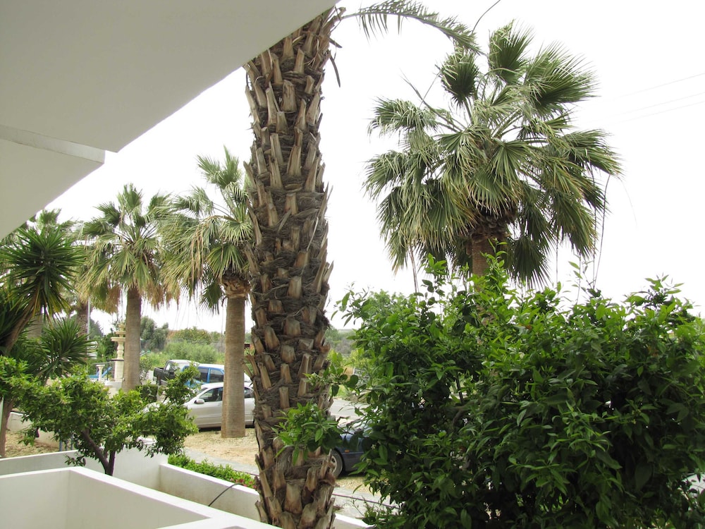 Apartment, 1 Bedroom, Pool Access photo 3
