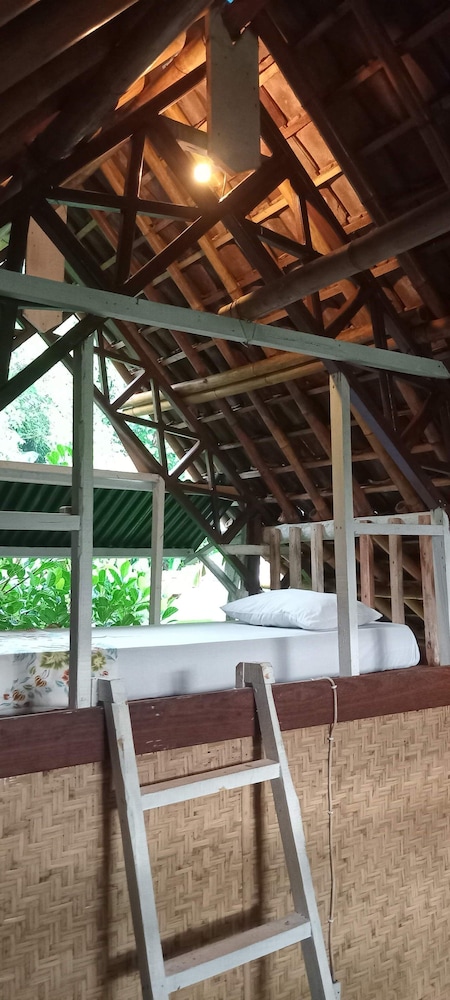 Shared Dormitory photo 3