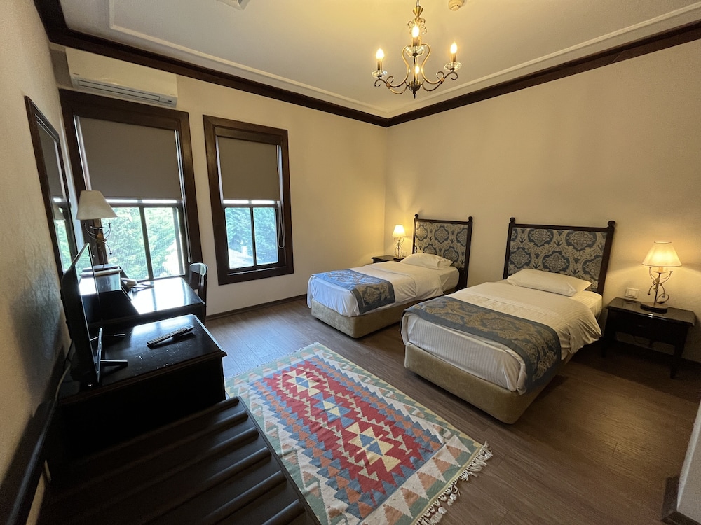 Premium Twin Room photo 3