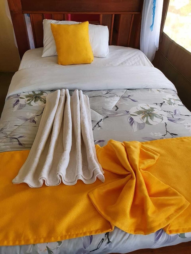 Basic Single Room photo 1