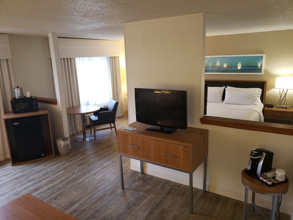 Suite, 1 King Bed - Photo 7