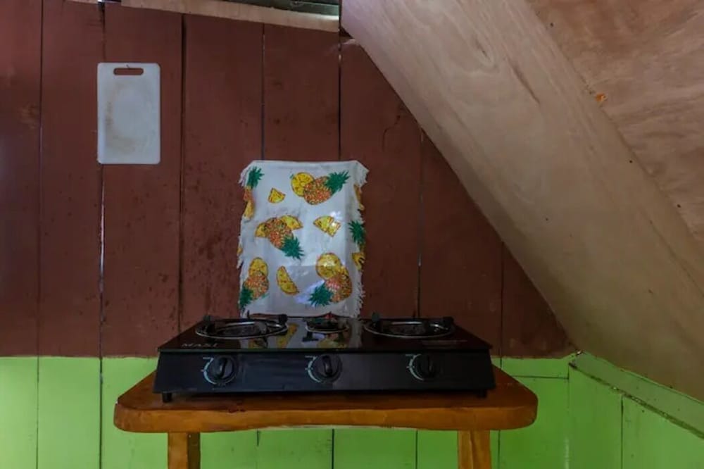 Family Chalet photo 3