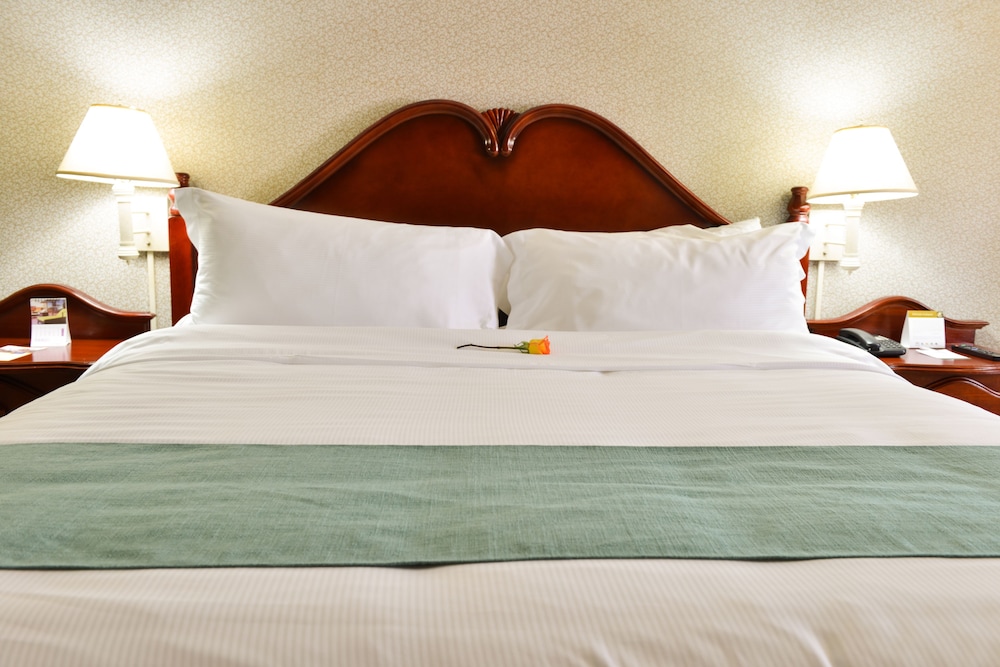 Standard Single Room photo 2