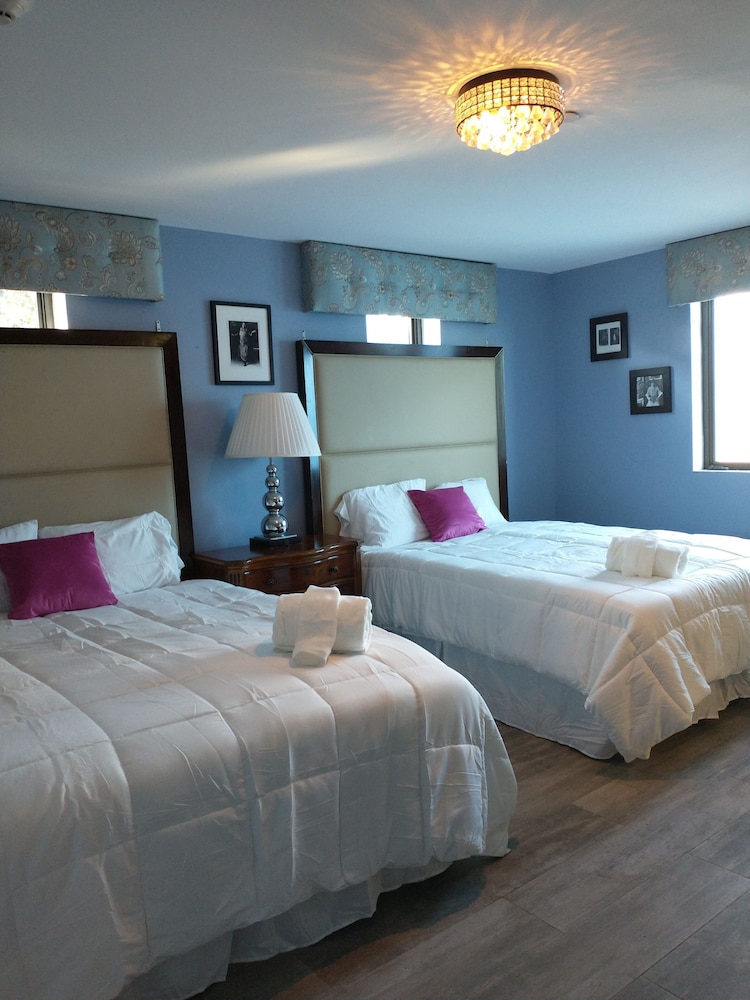 Comfort Double Room, 2 Queen Beds photo 1