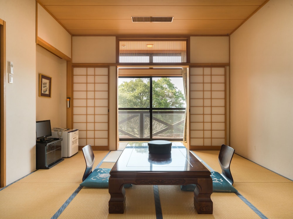 Traditional Room photo 2