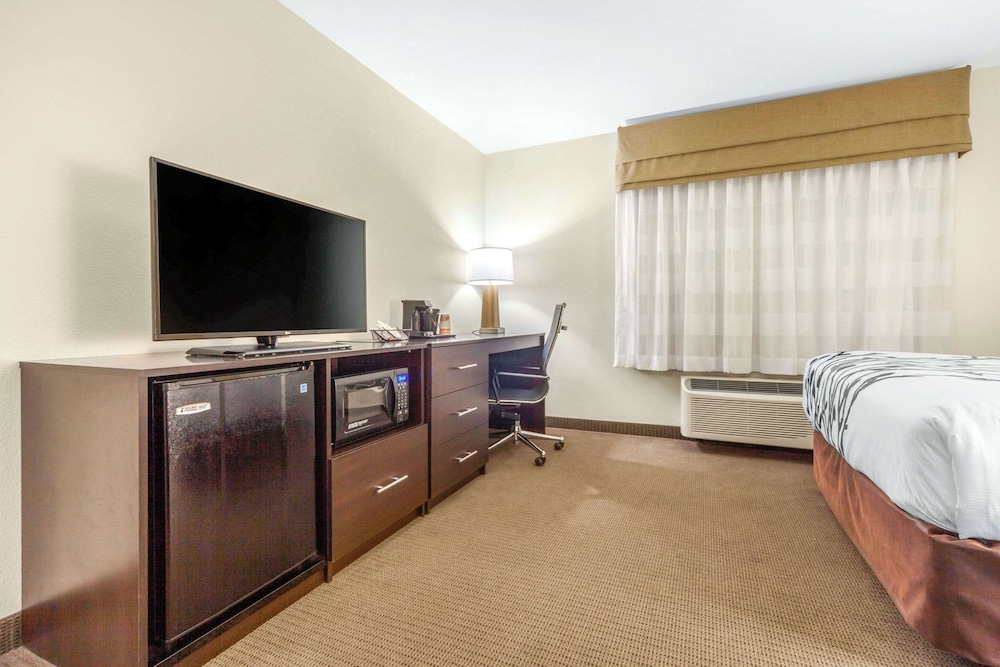 Suite, 1 King Bed with Sofa bed photo 2